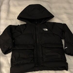 The North face Down Fleece-Lined Parka  Size 4
